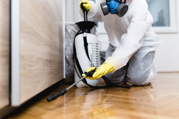 Best Emergency Pest Control  in Kendall, FL