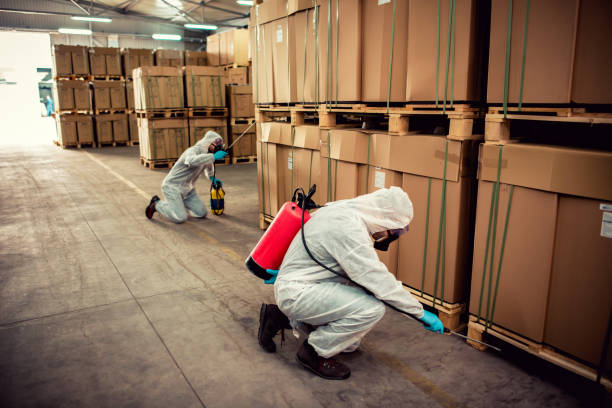 Best Pest Removal Services  in Kendall, FL