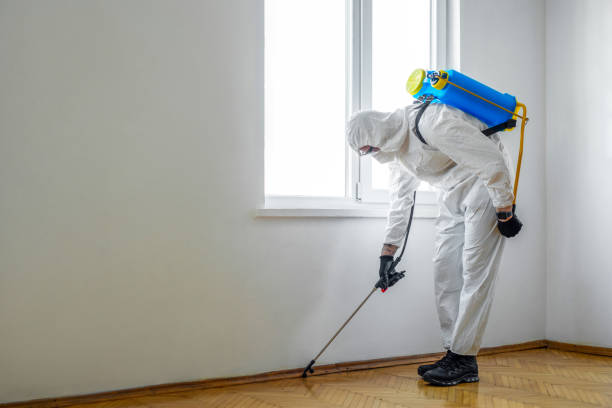 Best Pest Prevention Services  in Kendall, FL