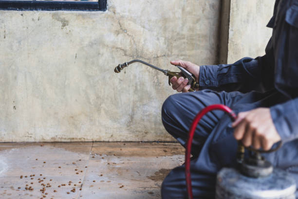 Pest Control Cost in Kendall, FL