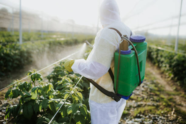 Kendall, FL Pest Control Company